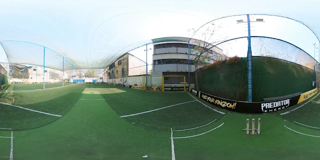Turf photo 4
