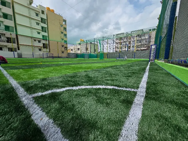 Turf photo 2