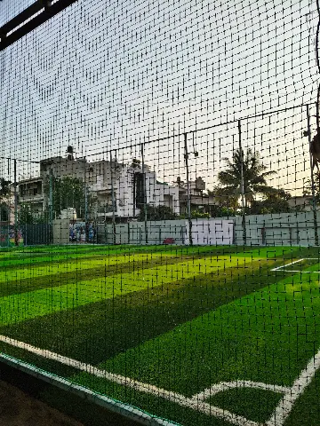 Turf photo 2