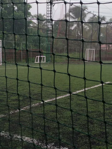 Turf photo 3