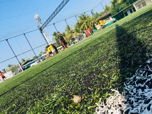 Turf photo 4