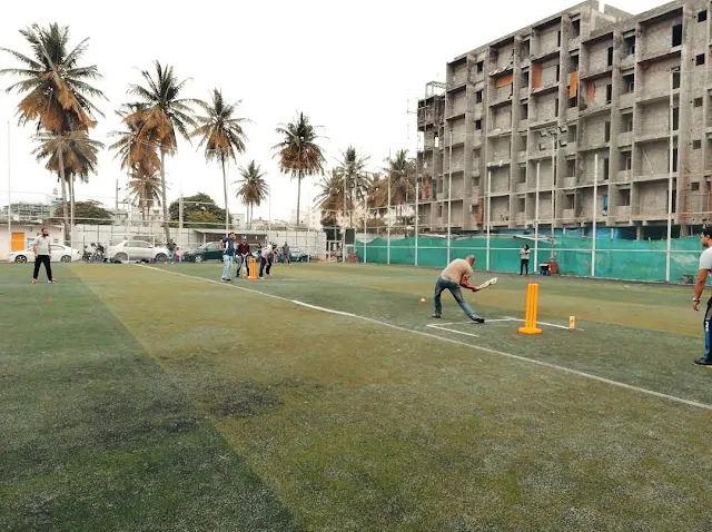 Turf main photo