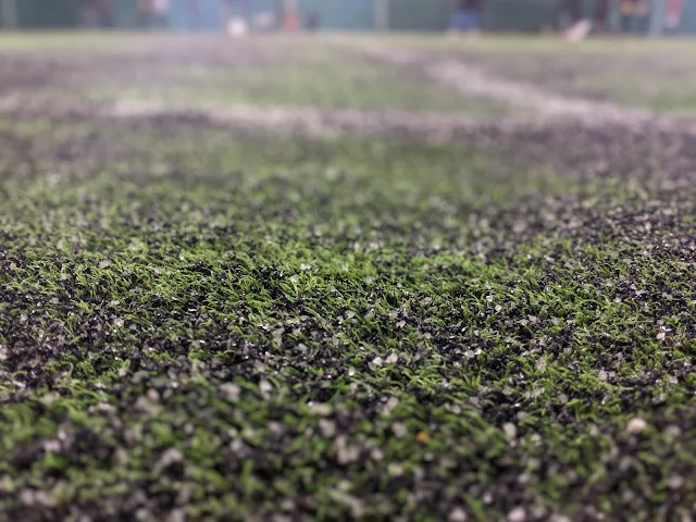 Turf photo 5