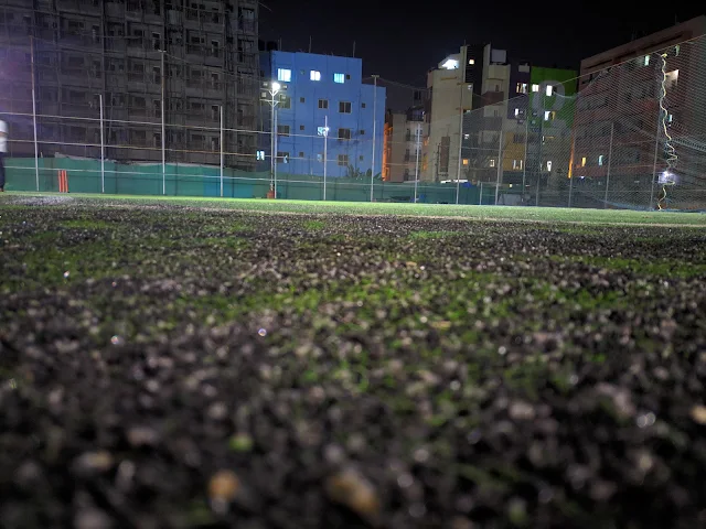 Turf photo 4