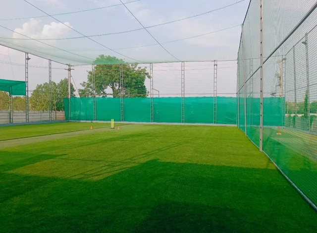 Turf photo 8