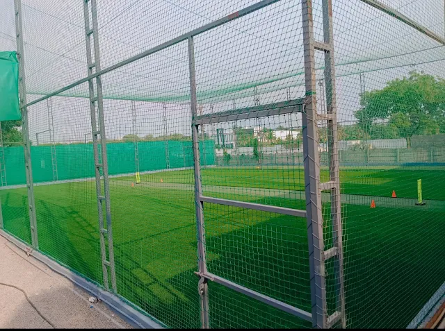 Turf photo 4