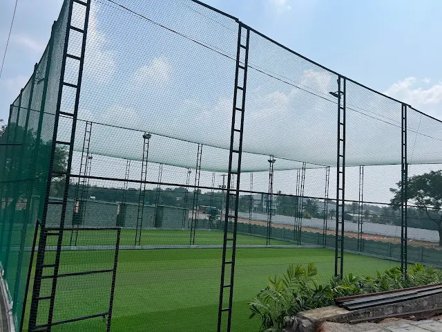 Turf photo 5
