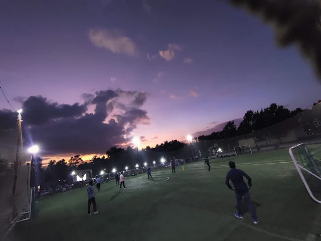 Turf photo 4