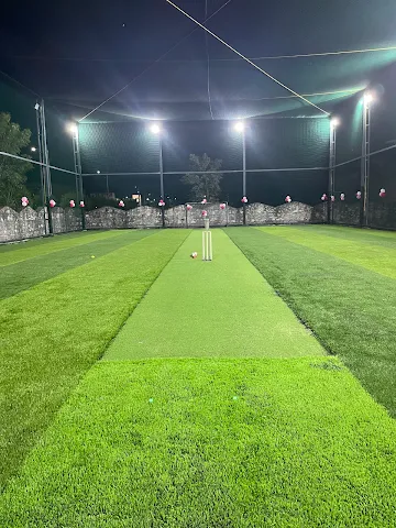 Turf photo 3
