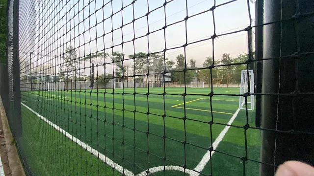 Turf photo 3