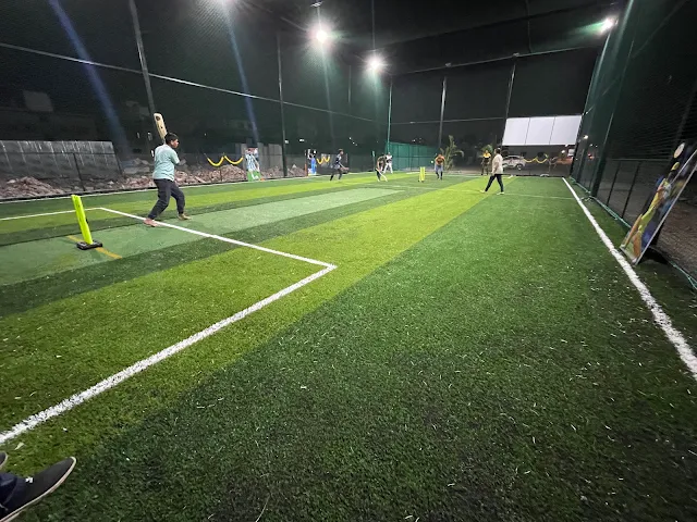 Turf photo 6