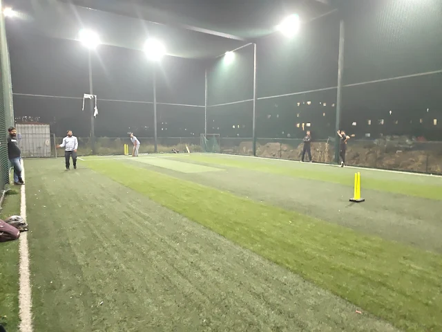 Turf photo 8