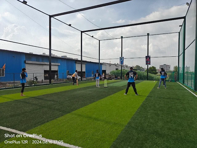 Turf photo 7