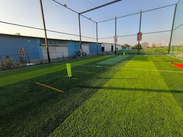 Turf photo 10