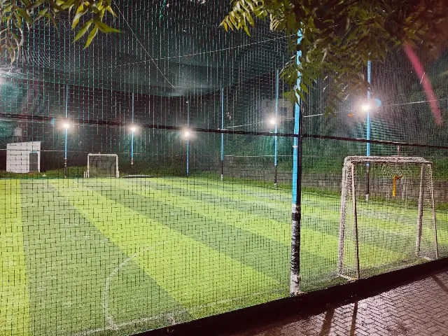 Turf photo 2