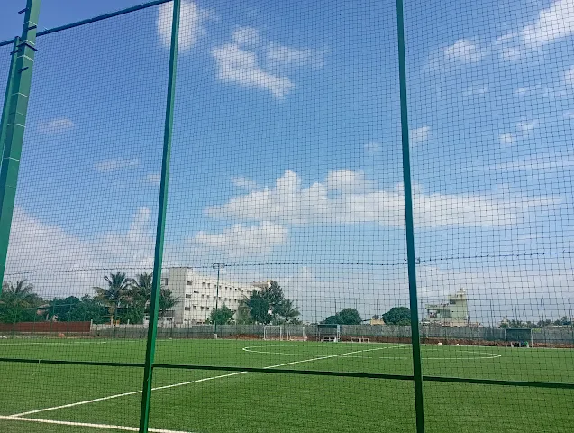 Turf photo 4