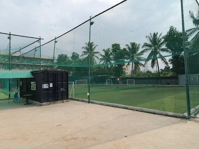 Turf photo 3