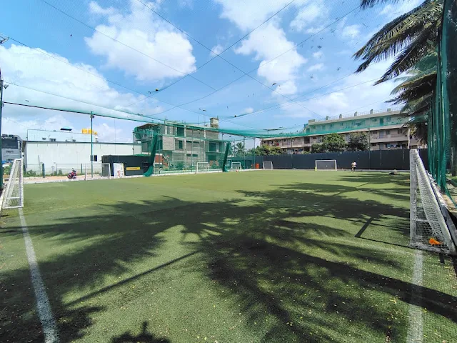 Turf main photo