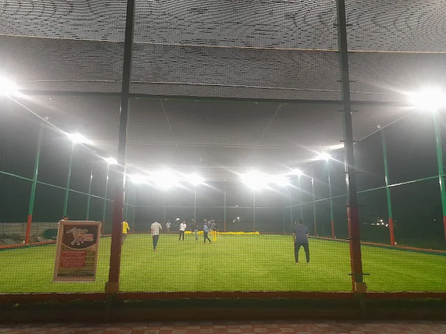 Turf photo 2