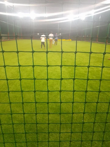 Turf photo 3