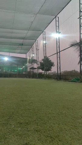 Turf photo 5
