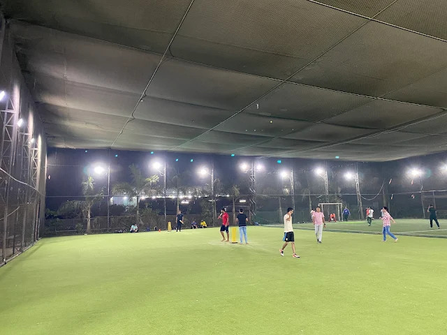 Turf photo 2