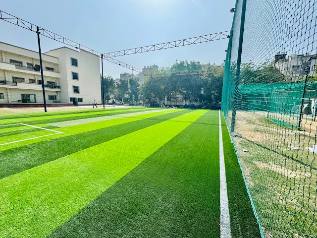Turf photo 3