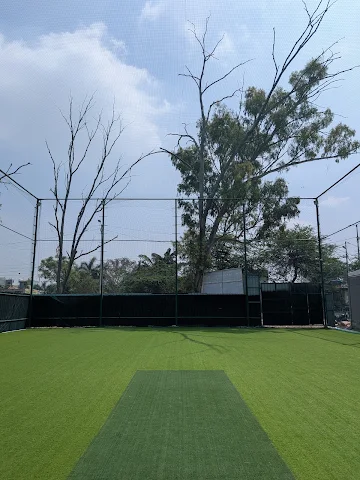 Turf photo 2