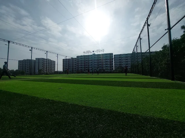 Aman Turf