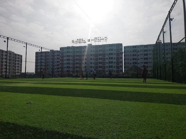 Turf photo 2
