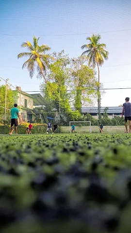 Turf photo 4