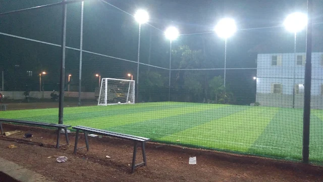 Turf photo 2