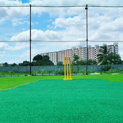 Turf main photo