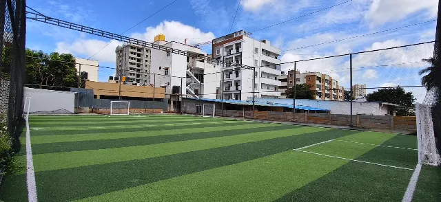 Turf photo 2