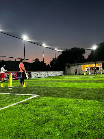 Turf photo 3