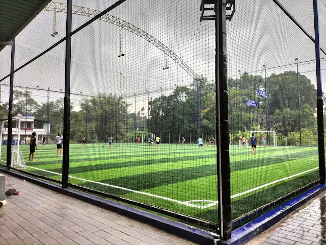 Turf photo 3