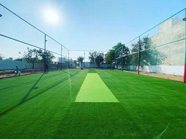 Suncity turf