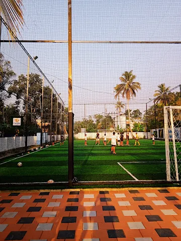 Turf photo 3