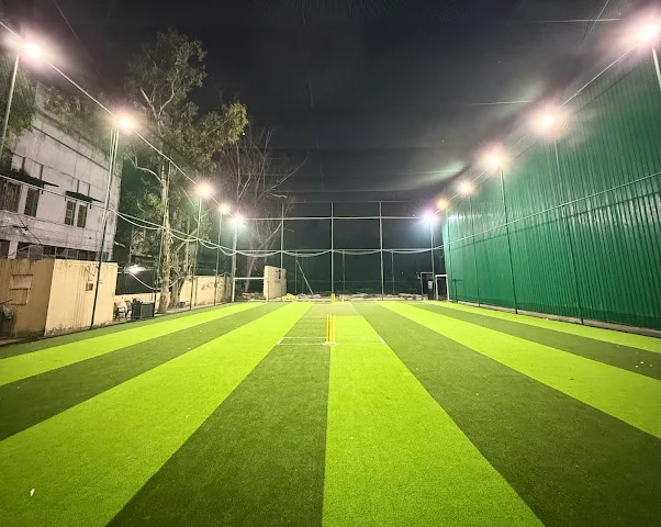 Turf photo 2