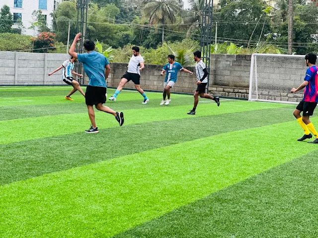 Turf photo 2