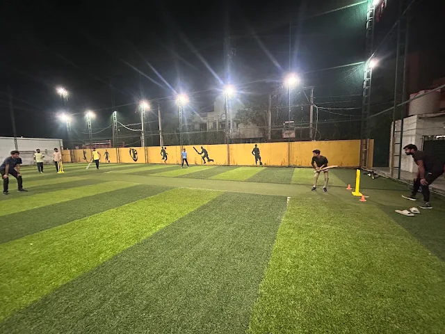 Turf photo 2