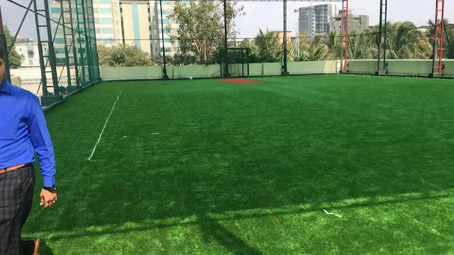 Turf main photo