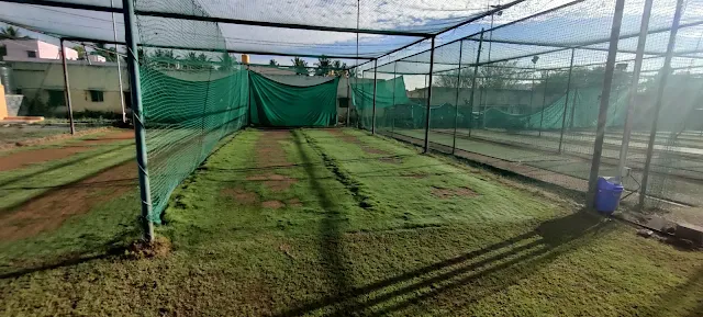 Turf photo 6
