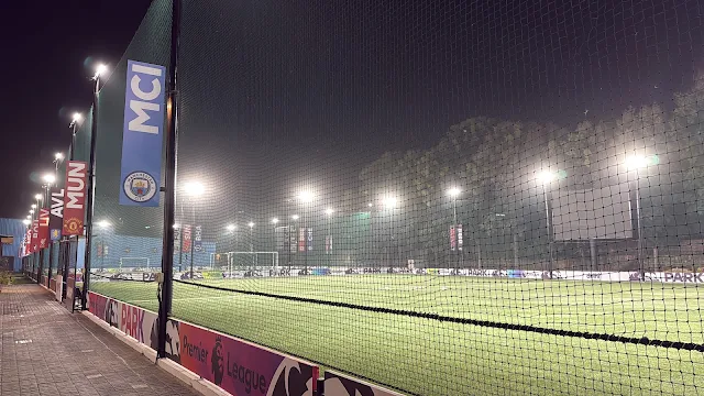Turf photo 5