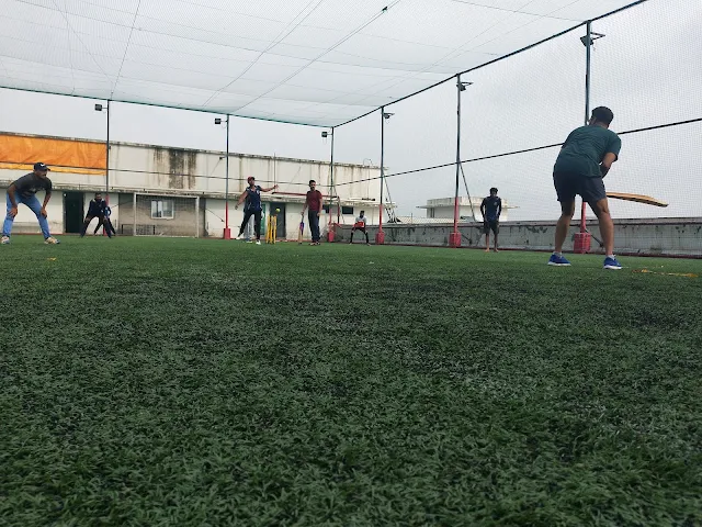 Turf photo 2