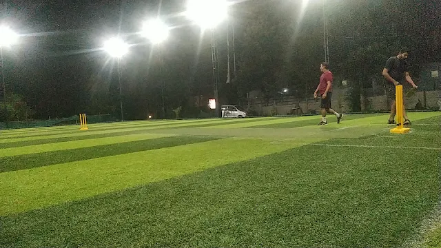 Turf photo 8