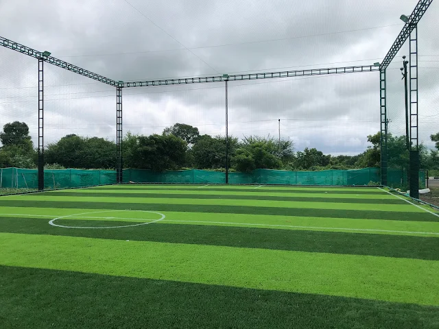 Turf photo 2