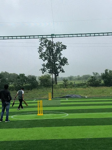 Turf photo 10