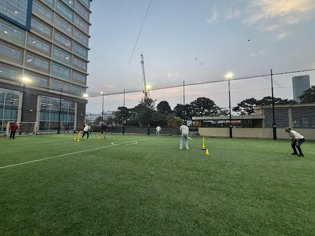 Turf main photo