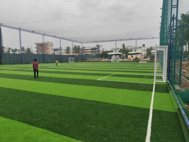 Turf photo 5